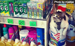 Shopping_forum_image